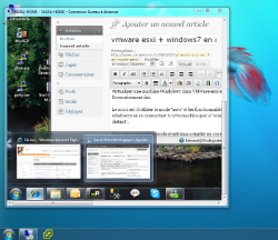 exemple windows7 TSE mode aero