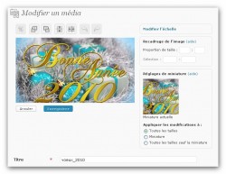 Wordpress 2.9 sur SynerGeek.fr 8