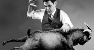 [Humour] C'est quoi "face de bouc" ? 4