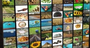 La télé de rattrapage avec TVO 14