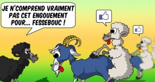 [Humour] Moment de detente 1