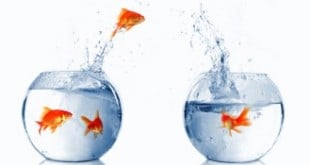 Migration du site SynerGeek.fr 1